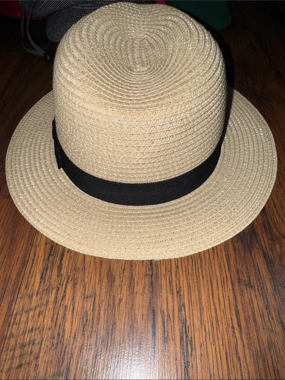 Straw Fedora C2.B1.M